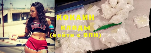 мет Новодвинск