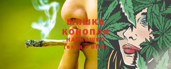 гидропоника Новозыбков