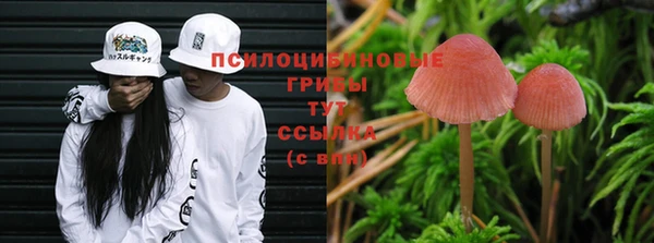 мет Новодвинск