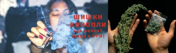 гидропоника Новозыбков