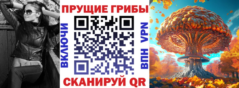 Купить закладки  Соль-Илецк  Галлюциногенные грибы мухоморы 
